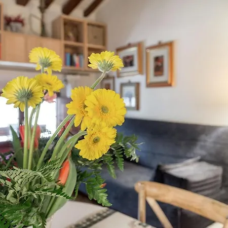 A Nest In The Heart Of Apartman Firenze